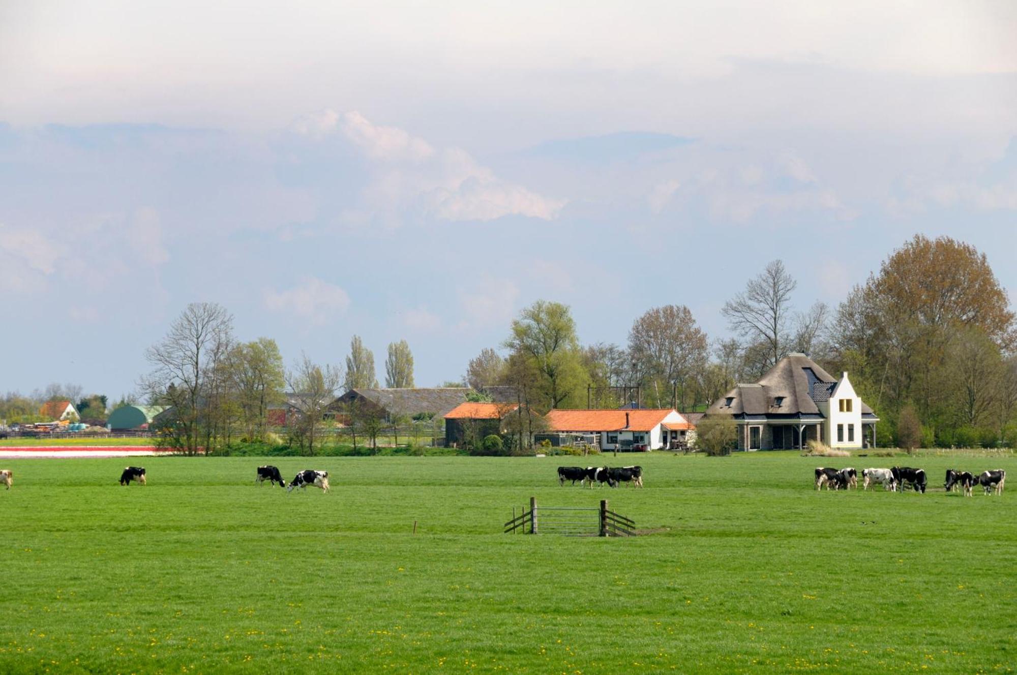 Hotelhuisjes Oosterleek Exteriér fotografie