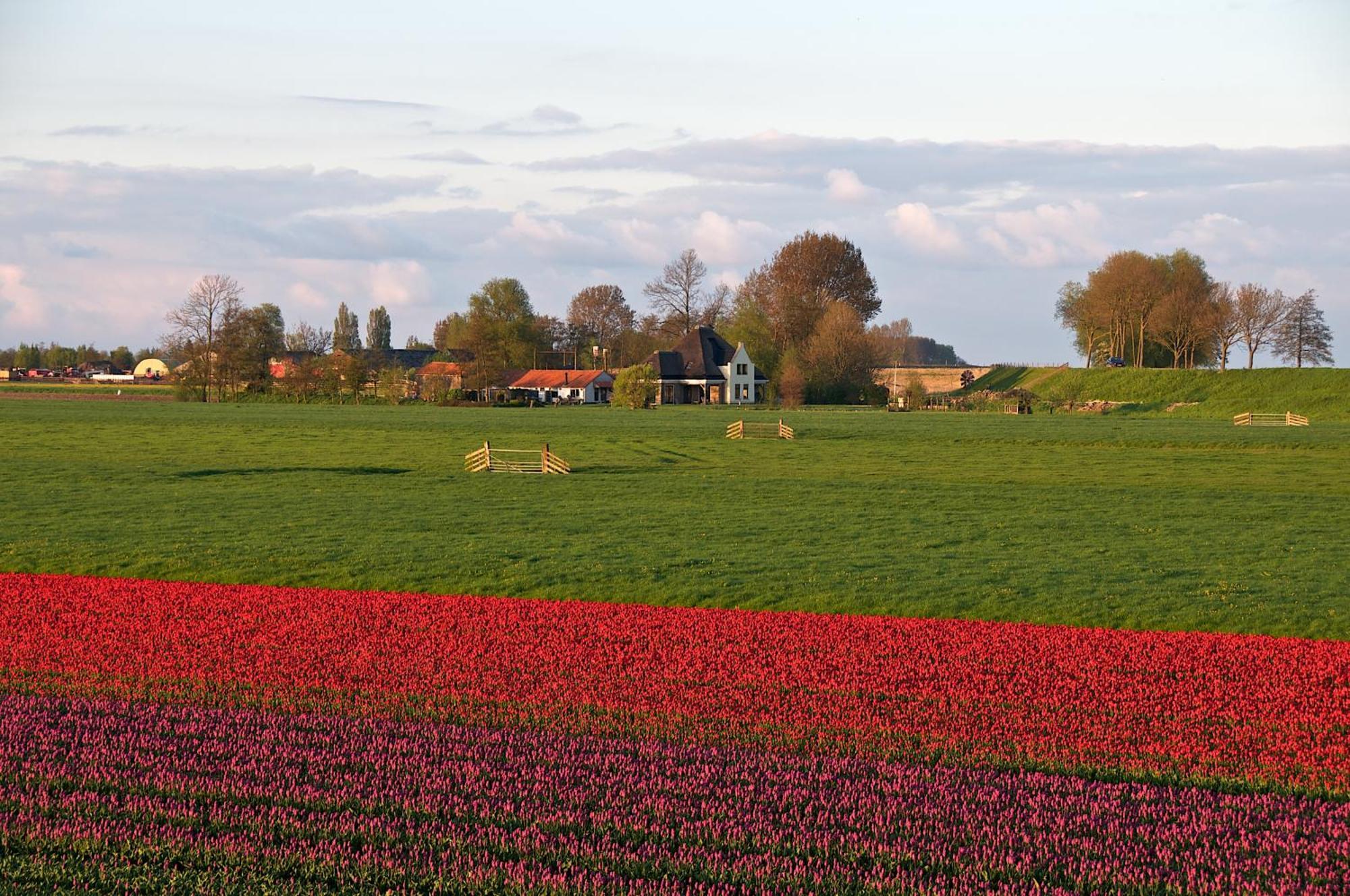 Hotelhuisjes Oosterleek Exteriér fotografie